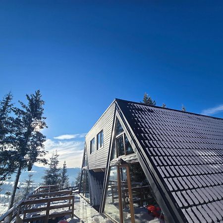 Cabane A-Frame Ceziade Tihuta ピアトラ・フントゥネレ エクステリア 写真